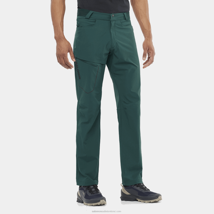 Ponderosa Pine 0600F1202 Men's Pants - Wayfarer Salomon