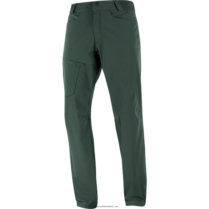 Ponderosa Pine 0600F1202 Men's Pants - Wayfarer Salomon