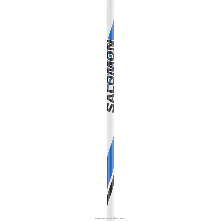 L41155000 0600F729 Men's Skating Classic Nordic Poles - R 20 Salomon