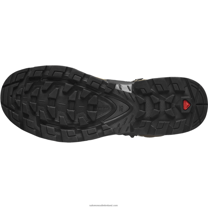 Desert Palm/Black/Kelp 0600F6 Men's Leather Hiking Boots - Quest 4 Gore-Tex Salomon