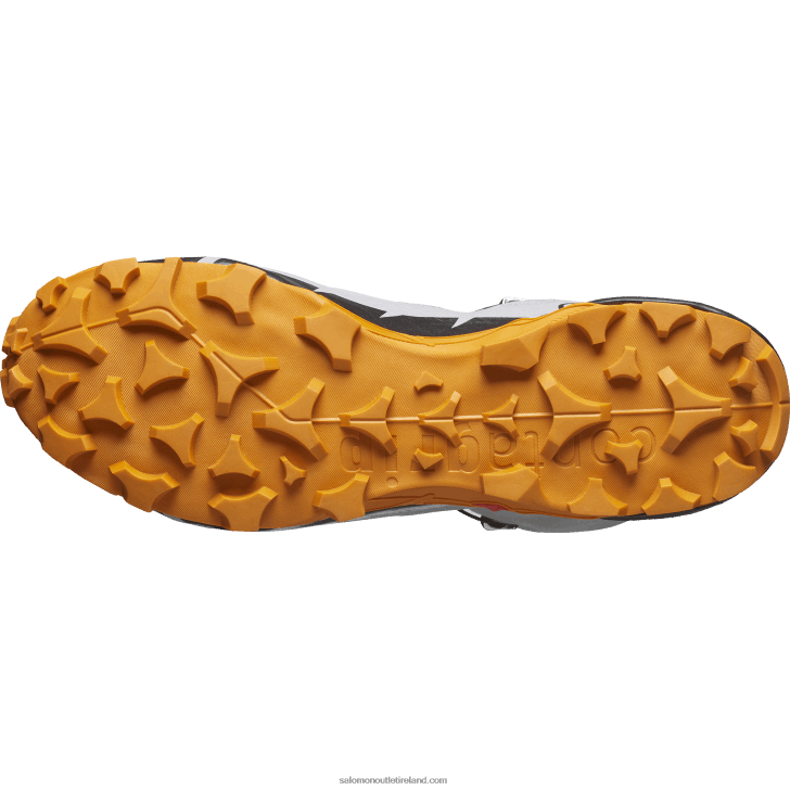 Gull/Marmalade/Black 0600F37 Men's Hiking Boots - Cross Hike 2 Mid Gore-Tex Salomon