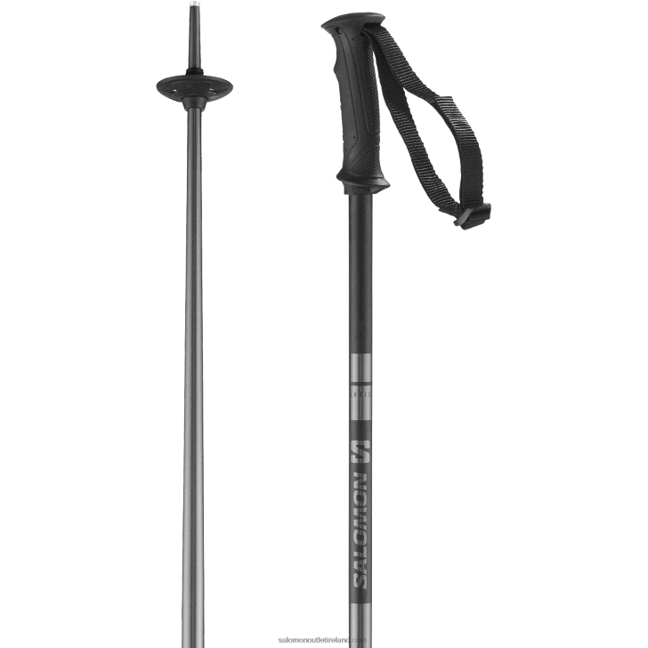 Blue 0600F1257 Men's Alpine Poles - Arctic Salomon