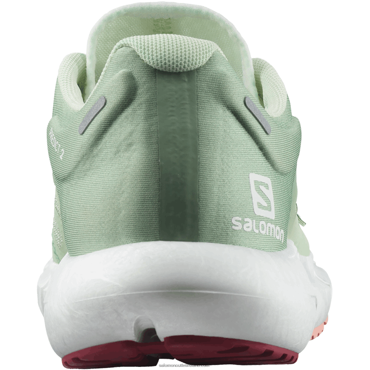 Spray/Granite Green/Blooming Dahlia 0600F755 Women's Running Shoes - Predict 2 Salomon