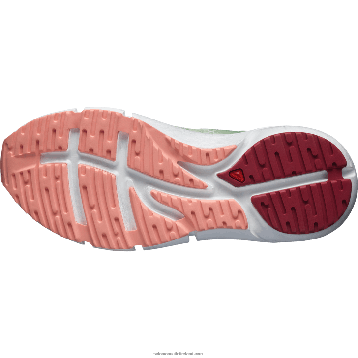 Spray/Granite Green/Blooming Dahlia 0600F755 Women's Running Shoes - Predict 2 Salomon