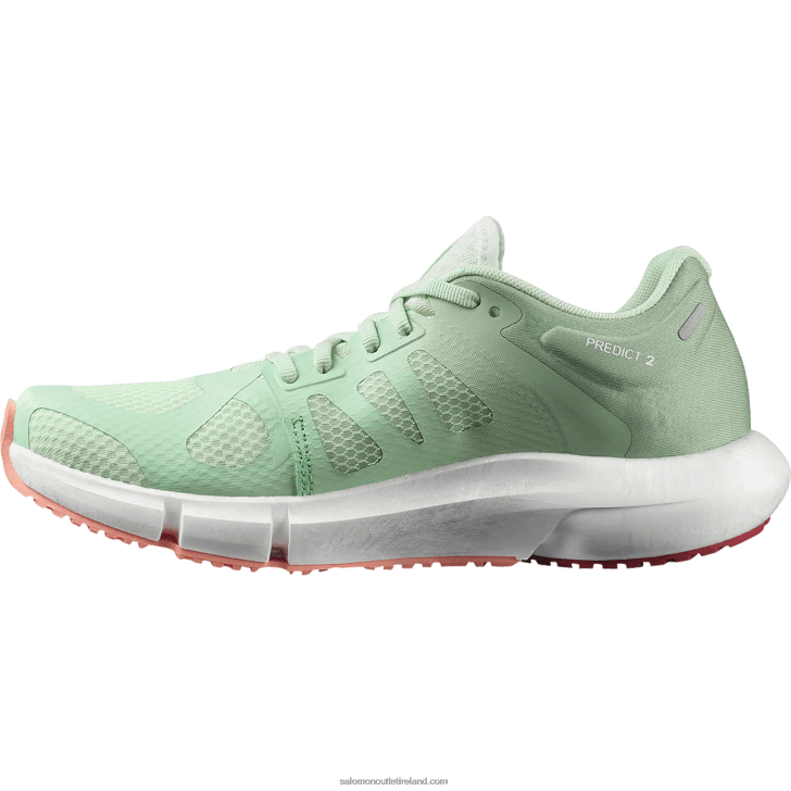 Spray/Granite Green/Blooming Dahlia 0600F755 Women's Running Shoes - Predict 2 Salomon