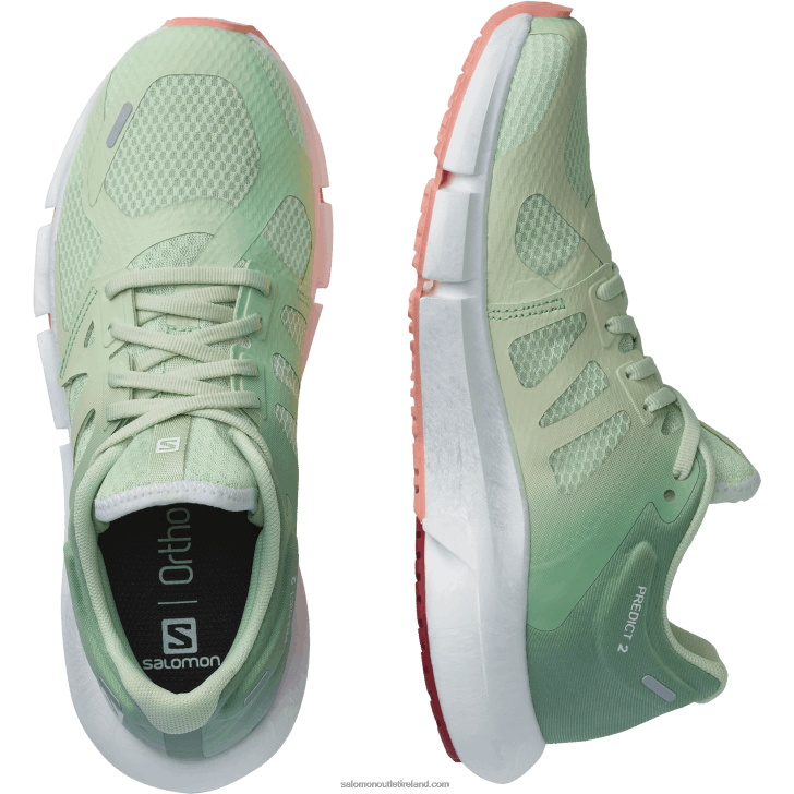 Spray/Granite Green/Blooming Dahlia 0600F755 Women's Running Shoes - Predict 2 Salomon