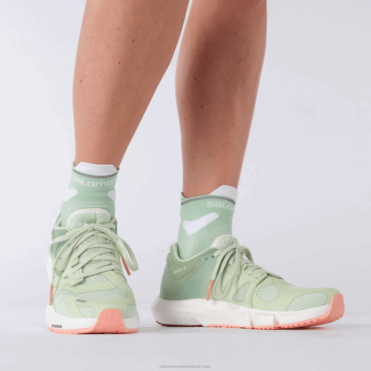 Spray/Granite Green/Blooming Dahlia 0600F755 Women's Running Shoes - Predict 2 Salomon